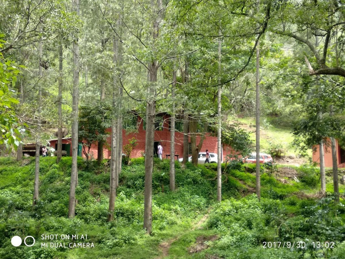 Secret Valley Jungle Resort Ooty Kültér fotó