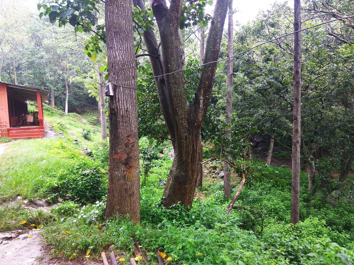 Secret Valley Jungle Resort Ooty Kültér fotó