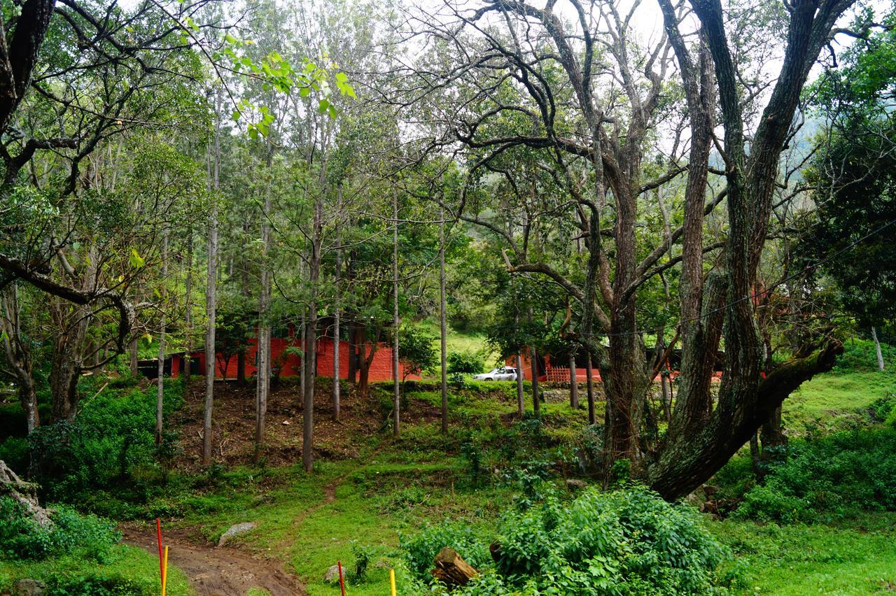 Secret Valley Jungle Resort Ooty Kültér fotó