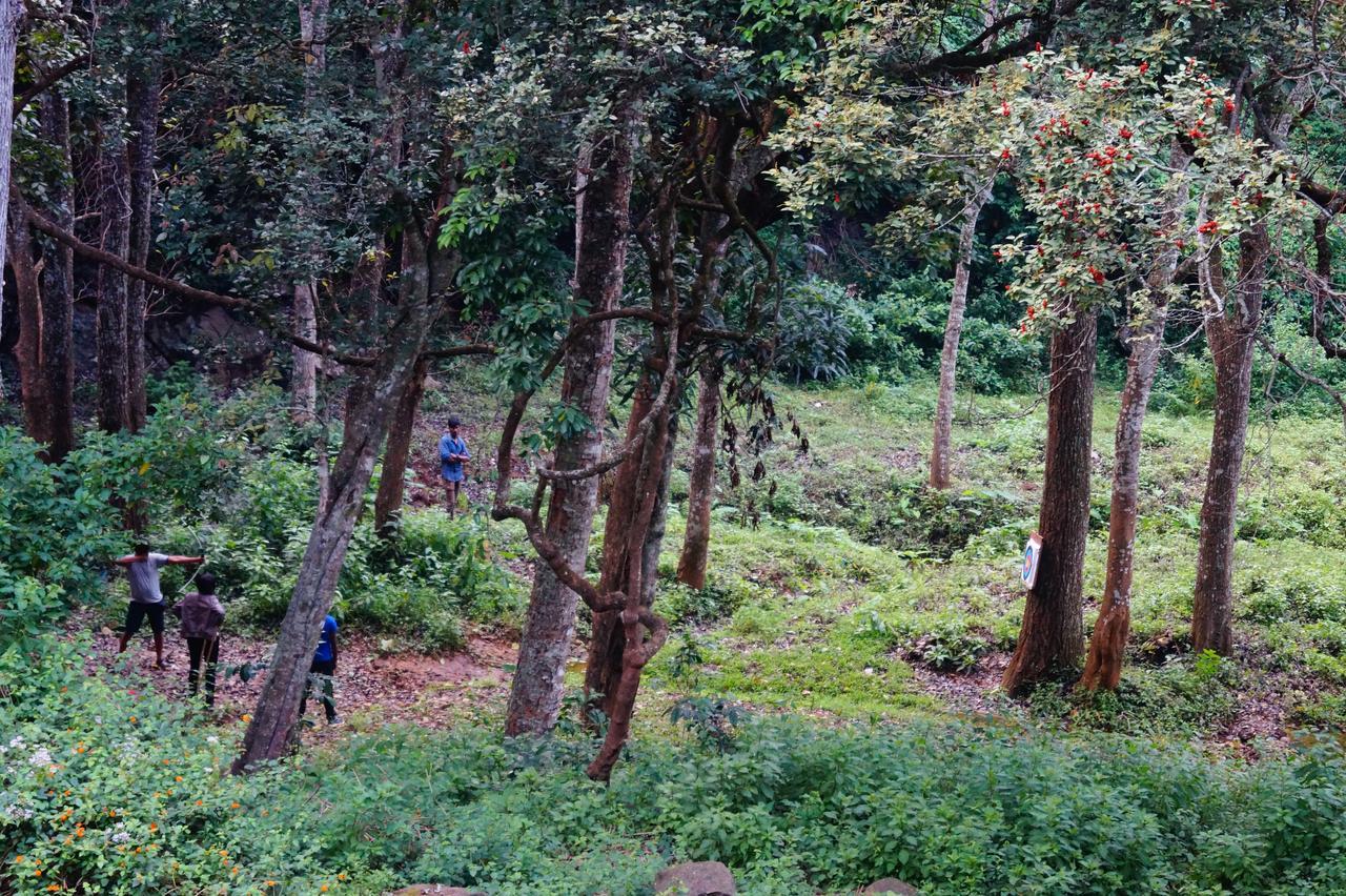 Secret Valley Jungle Resort Ooty Kültér fotó
