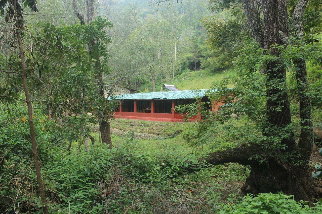 Secret Valley Jungle Resort Ooty Kültér fotó