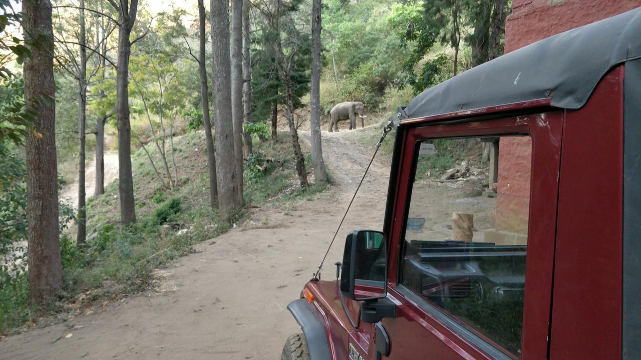 Secret Valley Jungle Resort Ooty Kültér fotó